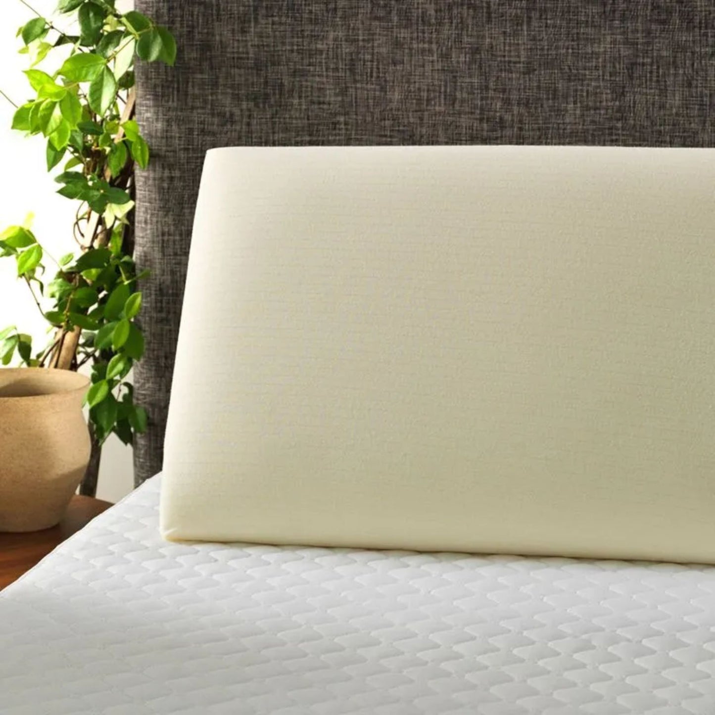 Almohada Altenburg viscoelástica Nasa
