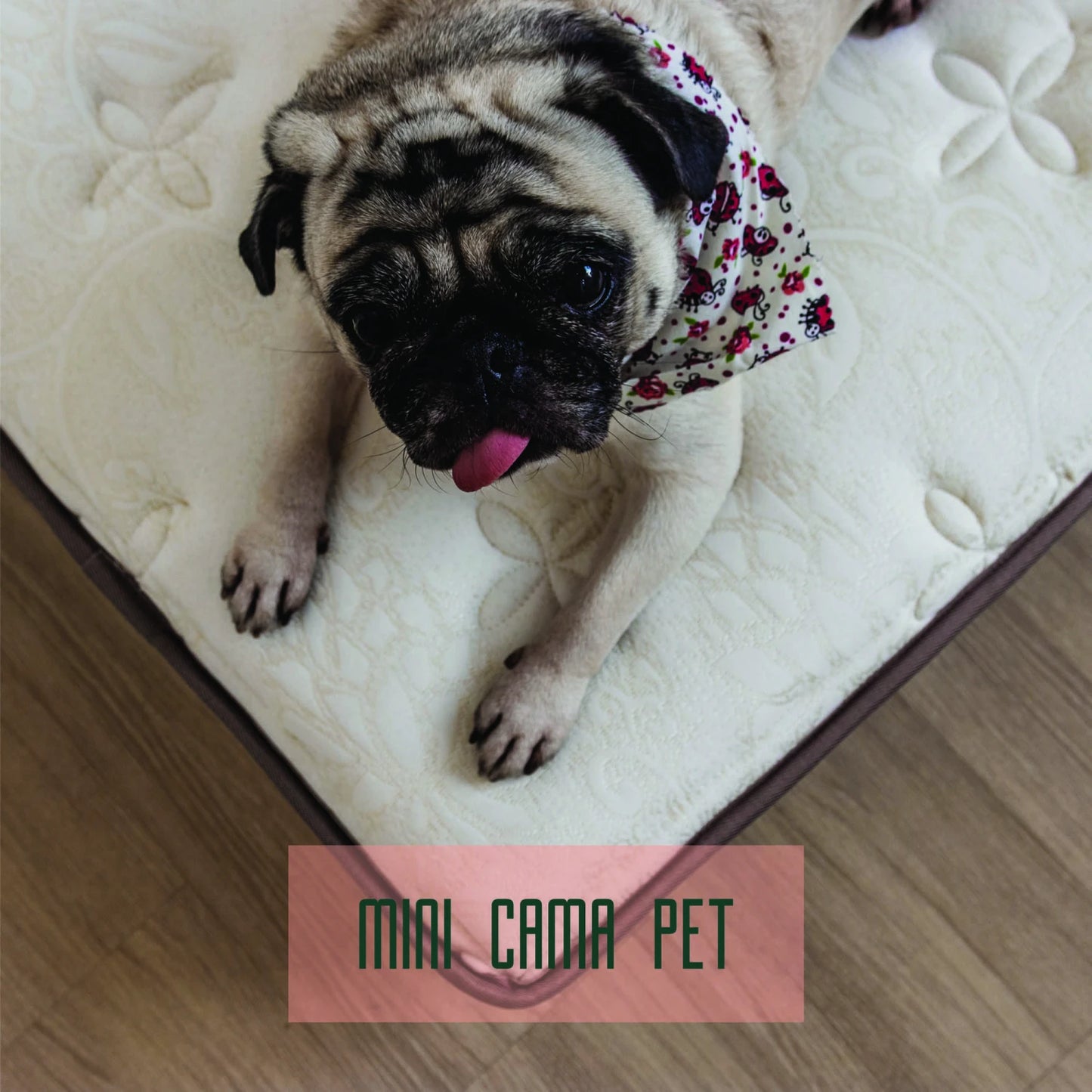 Mini cama para mascotas